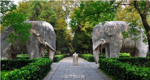 An undated photo of the elephant shaped stone sculpture in the Xiaoling Tomb in Nanjing, that dates back to the Ming Dynasty. [Photo: CCTV]