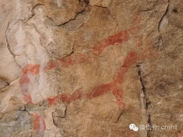 Chinese archeologists have found more than 1,800 ancient cliff paintings in northeast China's Heilongjiang Province. 