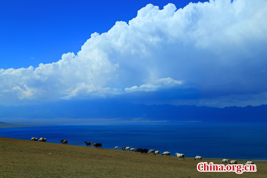 Sayram Lake, renowned as a pearl on the Silk Road, is the largest and highest alpine lake in Xinjiang. With an altitude of 2,073 meters, it is located about 90 kilometers southwest of Botala Prefecture, Urumqi. 