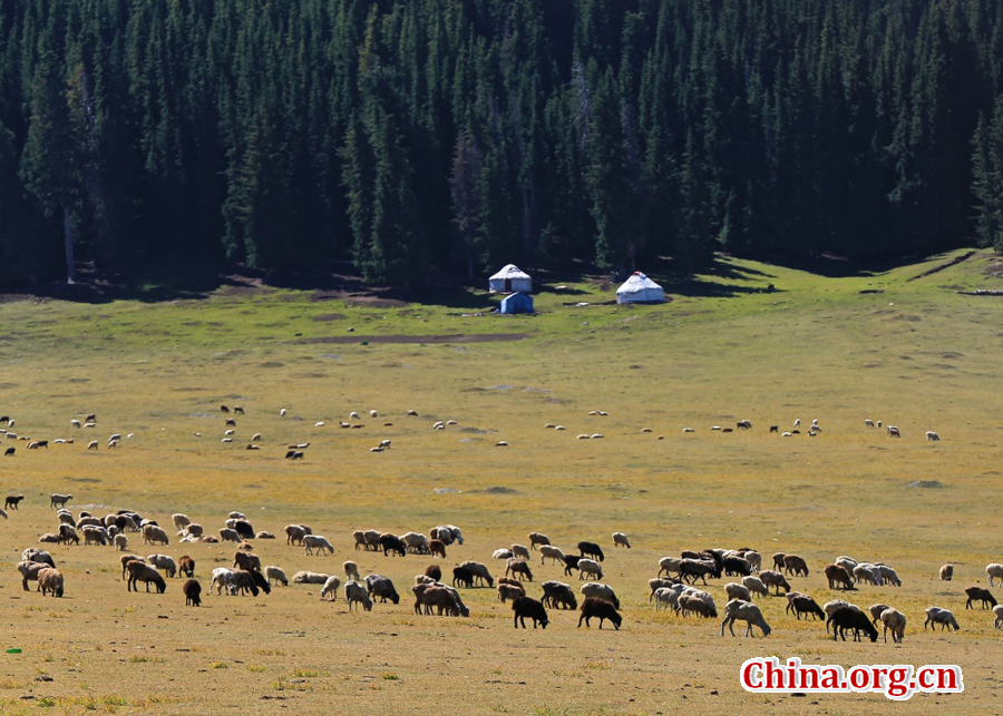 Sayram Lake, renowned as a pearl on the Silk Road, is the largest and highest alpine lake in Xinjiang. With an altitude of 2,073 meters, it is located about 90 kilometers southwest of Botala Prefecture, Urumqi. 