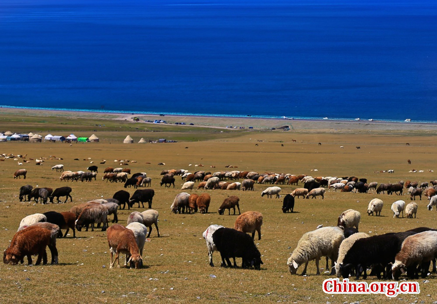 Sayram Lake, renowned as a pearl on the Silk Road, is the largest and highest alpine lake in Xinjiang. With an altitude of 2,073 meters, it is located about 90 kilometers southwest of Botala Prefecture, Urumqi.