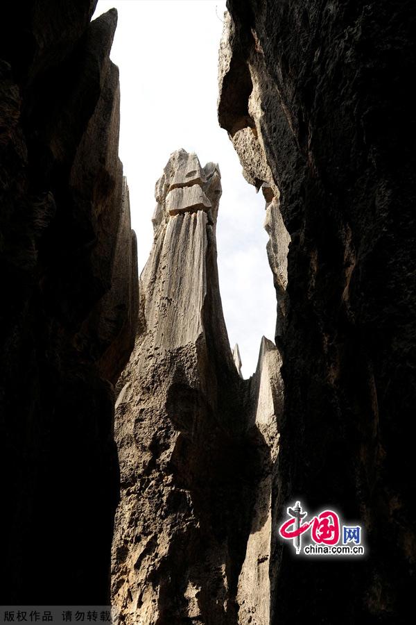 The Stone Forest In Kunming,Yunnan - China.org.cn