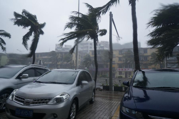 Photo taken on Oct. 4, 2015 shows gales and downpour in Zhanjiang, south China's Guangdong Province. Typhoon Mujigae, the 22nd typhoon this year, landed on South China's Guangdong Province on Sunday. [Photo/Xinhua]