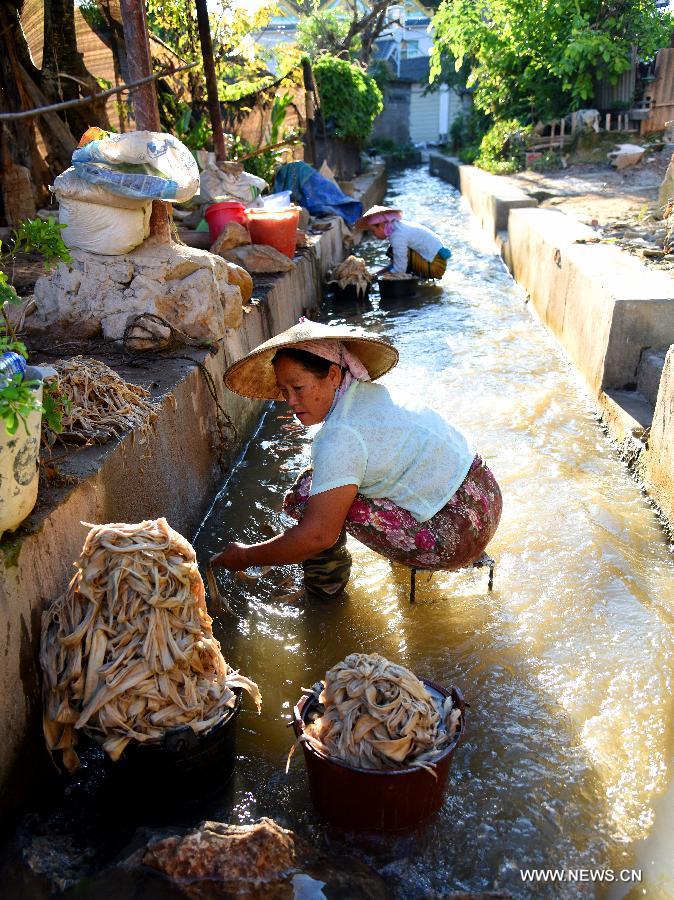 A woman washes the bark of mulberry trees for paper making in Mangtuan Village of Gengma Dai and Wa Autonomous County, southwest China's Yunnan Province, Oct. 15, 2015. The time-honored Dai people's paper-making skill, with a history of several centuries, is mainly mastered by local women and was listed as a national intangible cultural heritage in 2006. Local villagers see it as a key money spinner. [Xinhua]