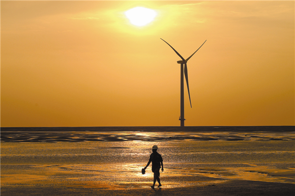 A wind farm at Rudong in Jiangsu province. China's installed wind power capacity had reached almost 63 million kilowatts by the end of 2012. [Photo by Xu Congjun / for China Daily] 