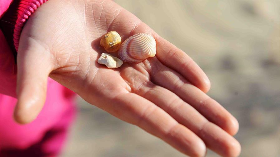 Shells at Moynak in the Aral Sea. [Photo/Xinhua]
