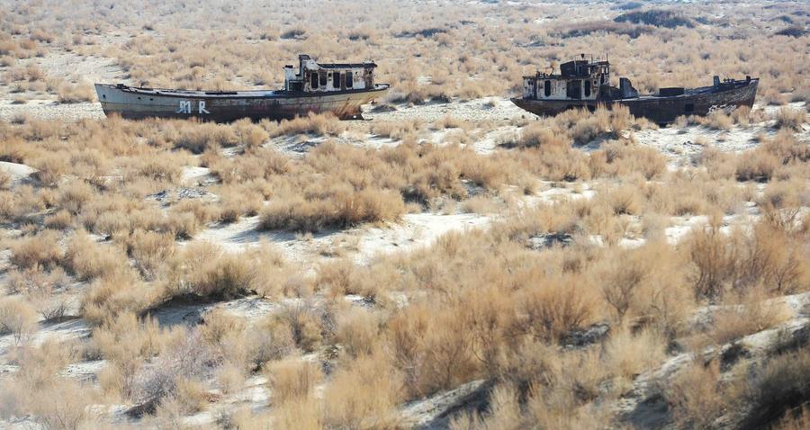 Abandoned ships at Moynak in the Aral Sea. [Photo/Xinhua]