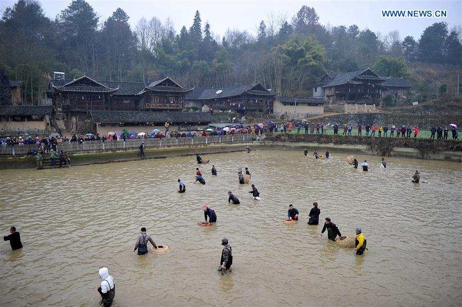 Villagers catch fish at a pond in Shaziya Village, Zhangjiajie, central China's Hunan Province, Jan. 13, 2016. Local villagers held a campaign of catching fish with chicken coops on Wednesday, which is a traditional blessing activity for a harvest year. [Xinhua]