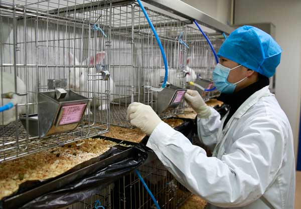 Experts mull tougher regulations on lab animal welfare
