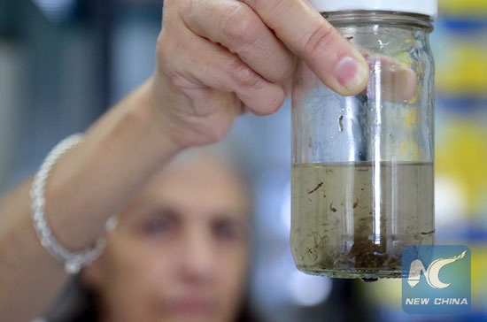 A doctor holds container of the Aedes aegypti mosquito larvae, the carrier of Zika virus, in a laboratory of the Ministry of Health, in San Jose, Costa Rica, on Jan. 29, 2016. [Photo/Xinhua]