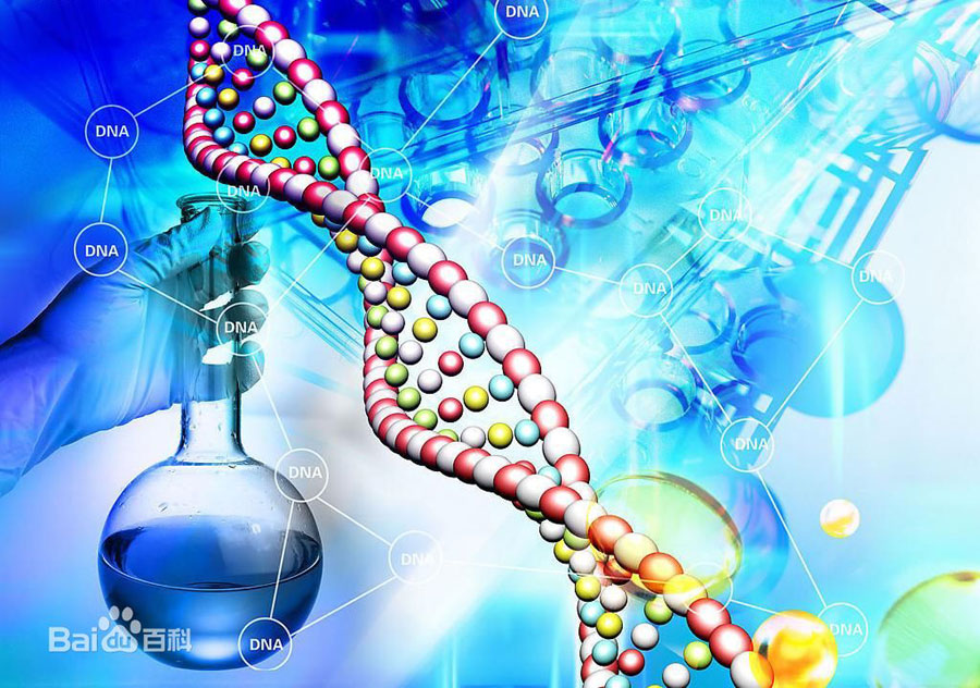 A file photo shows genetic research. [File photo: baidu.com]