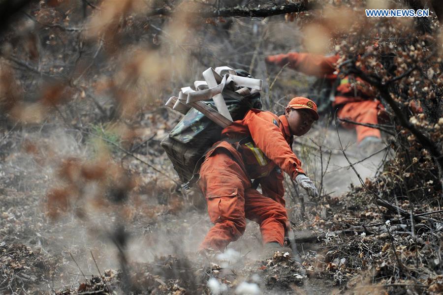 Armed police clear up the scene of the fire in the forest zone of Dala in Tebo County, northwest China's Gansu Province, March 9, 2016. The fire, which was spotted on March 2, has been basically extinguished Wednesday. [Photo/Xinhua]