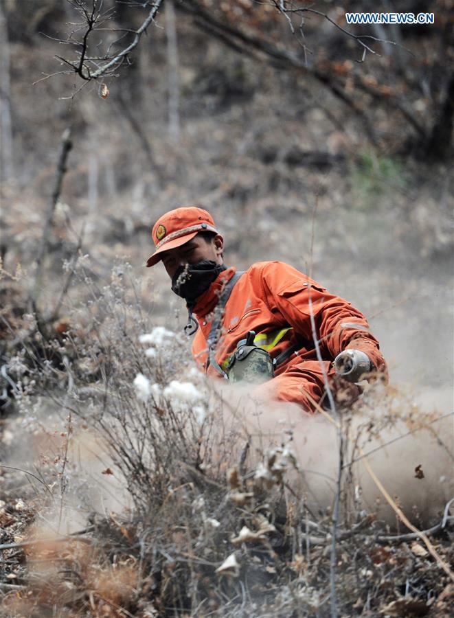 An armed police officer clears up the scene of the fire in the forest zone of Dala in Tebo County, northwest China's Gansu Province, March 9, 2016. The fire, which was spotted on March 2, has been basically extinguished Wednesday. [Photo/Xinhua]