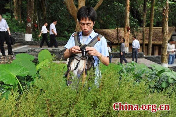 A Japanese tourist is looking at Artemisia annua, or sweet wormwood, which contains the active ingredient that Tu Youyou extracted to treat malaria, in the Luofushan Mountain Scenic Area in China's southern Guangdong Province. [Photo/China.org.cn]