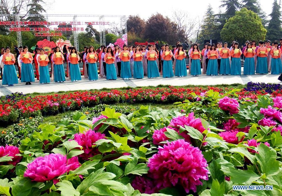 Peony Cultural Festival Opens In Central China Cn