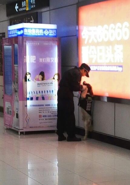 Police dog Jess is lectured by his instructor in a metro station in Shanghai. (Photo from Weibo)