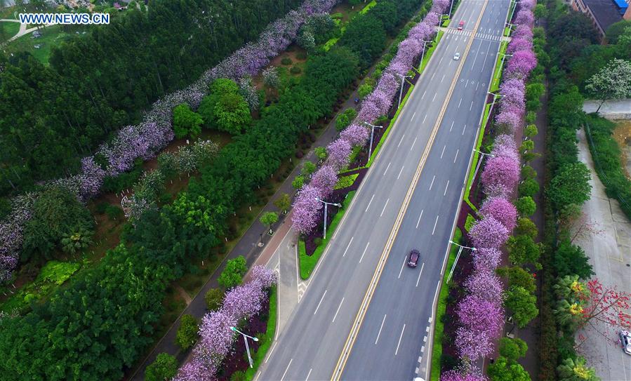 Vehicles run on a street in Liuzhou, south China's Guangxi Zhuang Autonomous Region, April 9, 2016. 