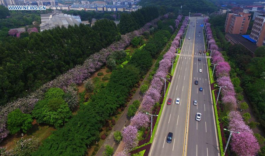 Vehicles move on a street in Liuzhou, south China's Guangxi Zhuang Autonomous Region, April 9, 2016. 