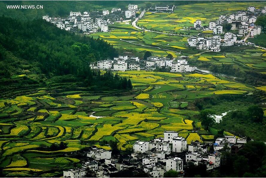 Photo taken on March 31, 2015 shows terraced fields in Jiangling Village of Wuyuan County, east China's Jiangxi Province. China has perfected the art of building terraced fields as an effective way to preserve water and soil, and had a long history of terracing the ridges for high-yield cropping. [Photo/Xinhua]