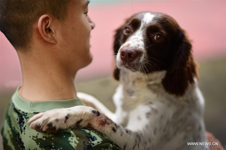 A trainer holds a police dog at a police dog base of frontier defense force in south China's Guangdong Province, April 18, 2016. [Photo: Xinhua/Liao Jian]