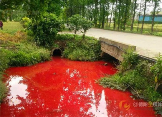 A small river in Guanghan City, Sichuan Province in southwest China was polluted by blood-red materials on the afternoon of April 23, 2016.[Photo/weibo]