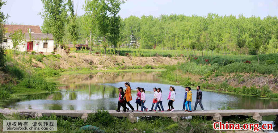 Wu Songyan and her students walk along a field path in Goudong Village, part of Renqiao Town of Bengbu City, Anhui Province, on April 18, 2016. [Photo by Li Bin/China.com.cn]