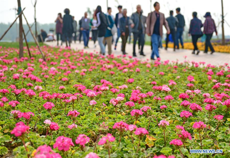 People visit the Tangshan International Horticultural Exposition 2016 in Tangshan City, north China's Hebei Province, April 29, 2016. The Tangshan International Horticultural Exposition 2016 opened here on Friday and will last for 171 days. [Xinhua]