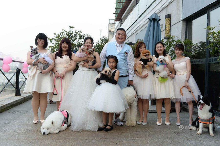 A couple poses for group photos with their beloved dogs and close friends after their wedding ceremony at a local restaurant in Shanghai on May 6, 2016. The dogs of the couple were taken to the wedding and accompanied their owners as bridesmaid and groomsman. [Photo: qq.com]