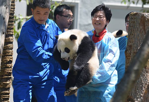 Hong Kong official Carrie Lam Cheng Yuetngor (right) holds a panda cub during a visit to Wolong National Nature Reserve in Sichuan province on Wednesday.[Photo/Xinhua]