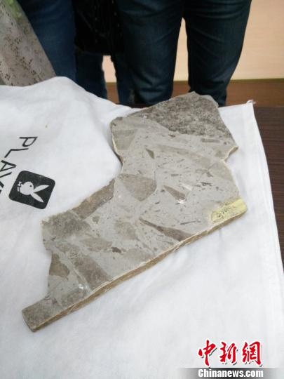 Scientists discover fossil of oldest multicellular organism- China.org.cn