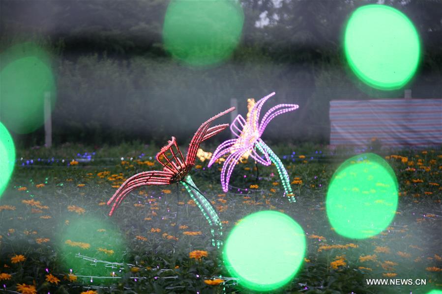 Colorful lights are displayed at an LED light festival in Linfen City, north China's Shanxi Province, June 3, 2016.