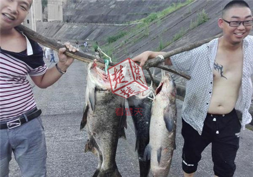 Local residents happily take fish that are washed downriver by the flood back home on July 2, 2016. [Photo: ctdsb] 