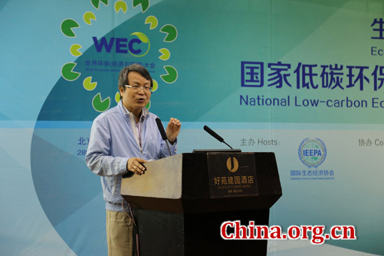 Hong Ping, chairman of Anyou Group, addresses the seminar in Beijing on Aug. 28. [Photo/China.org.cn]