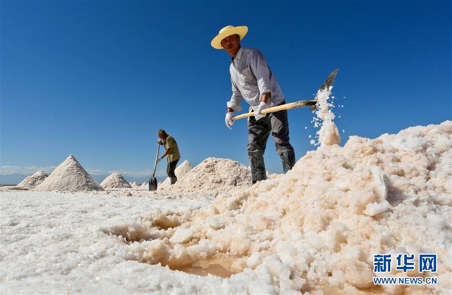 As the fall season approaches, a salt mine in northwest China is entering the peak season for crude salt. The mine located in Gaotai of Gansu Province has a long history of producing salt. [Photo/Xinhua]