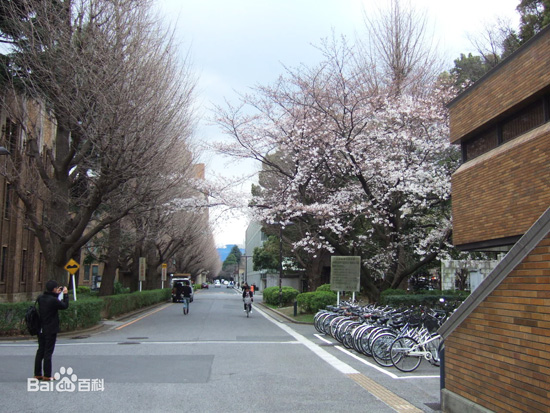 The University of Tokyo, one of the 'top 10 universities in Asia in 2016' by China.org.cn.