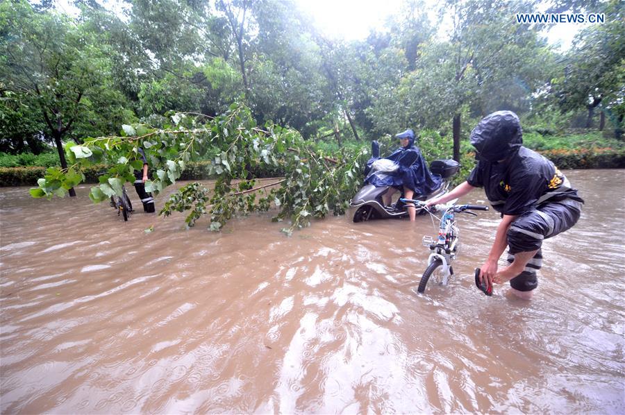 Typhoon Megi Makes Landfall In East China- China.org.cn