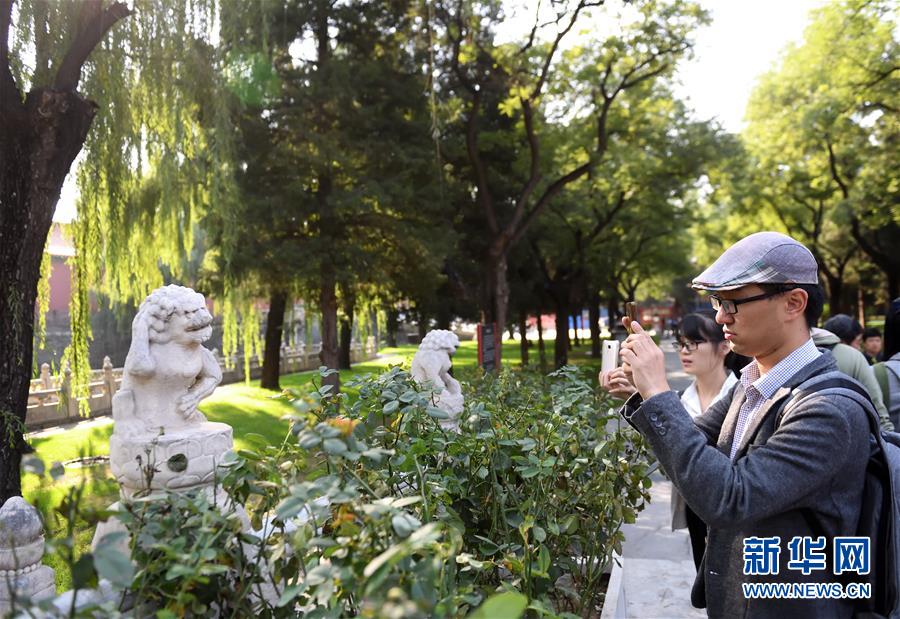 129307162_14751901175311n