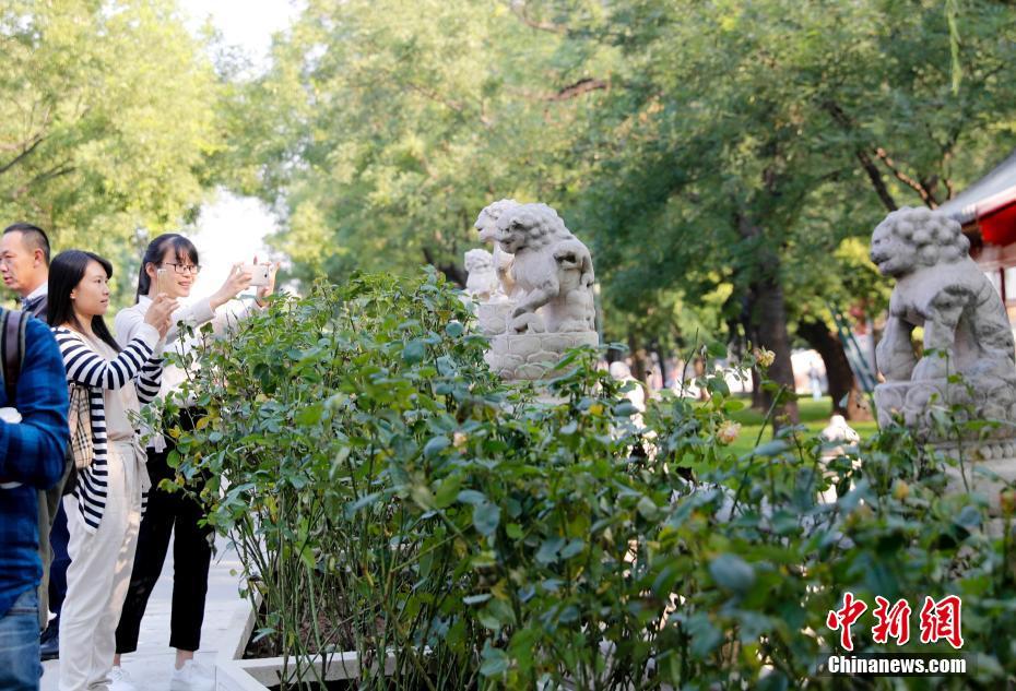 129307162_14751902190011n