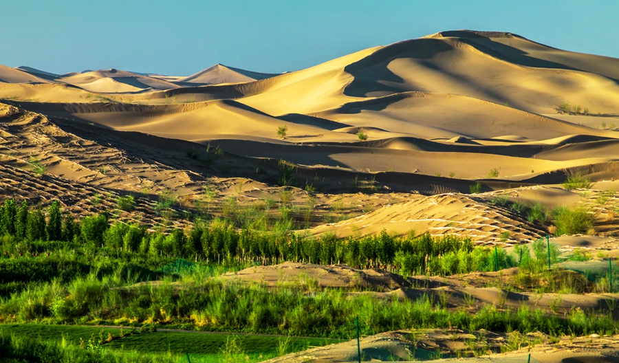 Kubuqi Desert [China.org.cn]