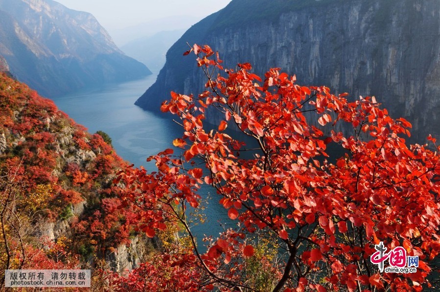 best-places-to-see-autumn-leaves-in-china-china-cn