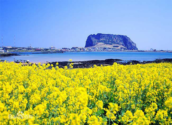 Jeju Island, South Korea, one of the 'top 10 cities for Chinese short distance foreign travel' by China.org.cn.