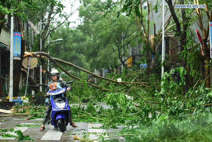 Branches are broken in typhoon-hit Qionghai City, south China's Hainan Province, Oct. 18, 2016. Typhoon Sarika, the 21st typhoon of the year, made landfall at Hainan Province Tuesday morning. [Photo: Xinhua]
