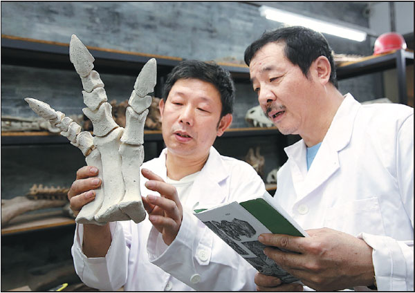 Zhu Songlin (right) discusses fossil repair with one of his colleagues at Chongqing's Museum of Natural History.Photos Provided To China Daily