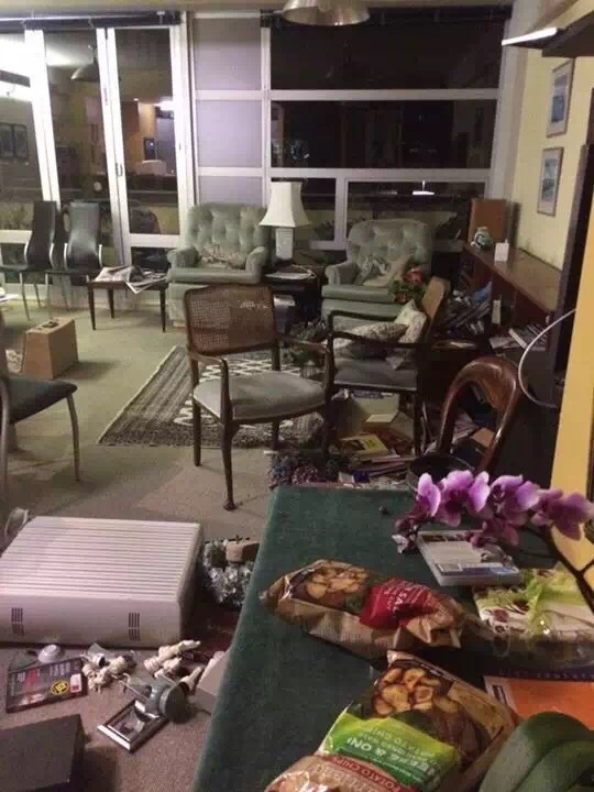 Photo taken on Nov. 14, 2016 (local time) shows a living room of a house in Wellington, New Zealand. [Photo/Xinhua]