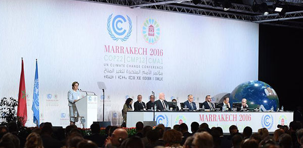 Marrakech climate conference starts high-level segment - China.org.cn