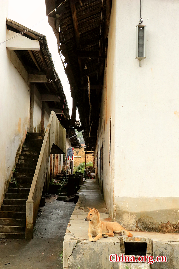 The photo shows homes of local people. Nowadays, more than 300 families still live here. [Photo by Li Huiru / China.org.cn]