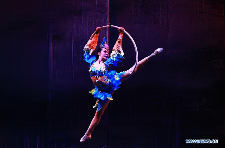 An acrobat from Chinese Hunan Acrobatic Art Theatre performs during the show &apos;Journey of Dreams&apos; at the Flato Markham Theatre in Toronto, Canada, Nov. 24, 2016. (Xinhua/Zou Zheng) 