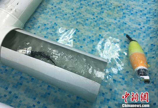 A robot fish inspects a pipeline. [Photo/Chinanews.com]
