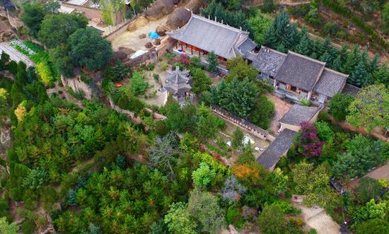 Green trees carpet the residences of Xu Zhiqiang and Xu Zhigang, 68-year-old twin brothers who spent 48 years growing trees on the deserted mountains.