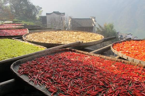 Vegetables are laid out to dry in the sun during autumn to be used during the cold winter. [Photo by Rosemary Bolger/chinadaily.com.cn]